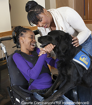 Photo 2 from Canine Companions for Independence